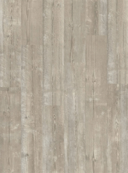 Alpha Bloom Morning Mist Pine