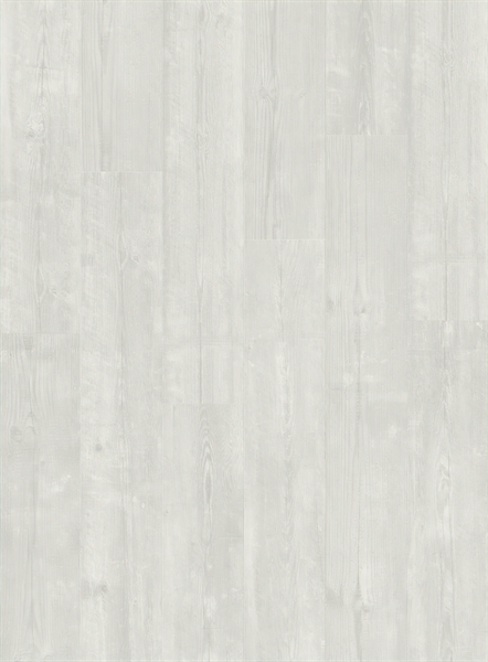 Alpha Bloom Snow Pine