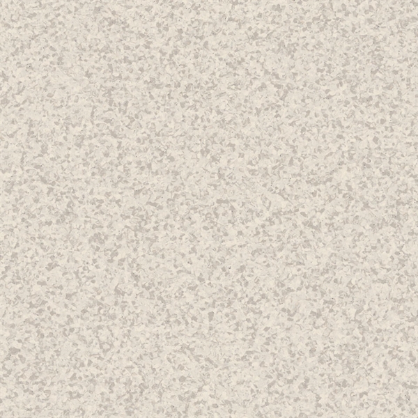 Primo Safe T Medium Cool Beige