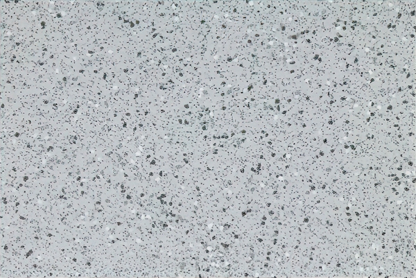 Altro XpressLay Blizzard