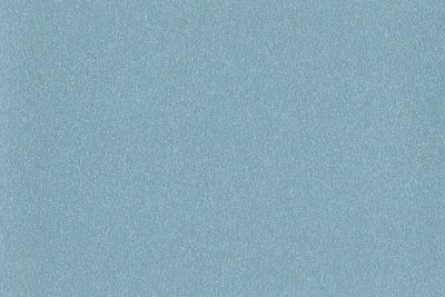 Altro Pisces Sea Urchin