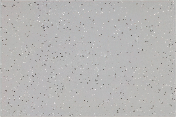 Altro Aquarius Puffin