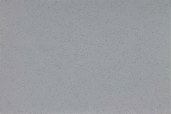 Altro Aquarius Walrus