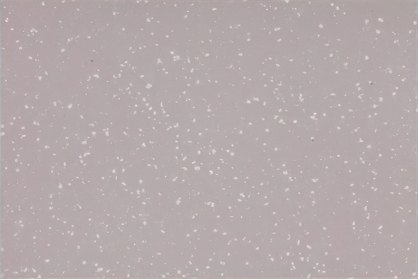 Altro Aquarius Salamander