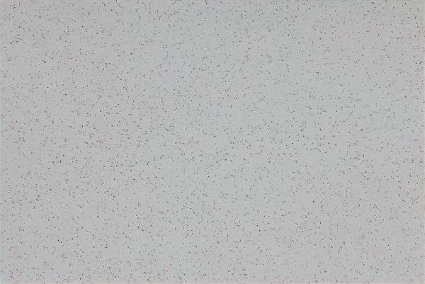 Altro Aquarius Cygnet