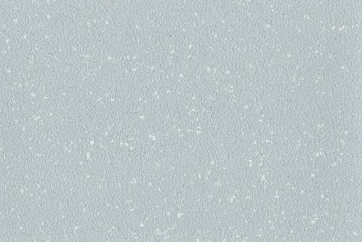 Altro Aquarius Sea Snail