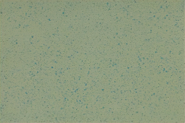 Altro Aquarius Treefrog