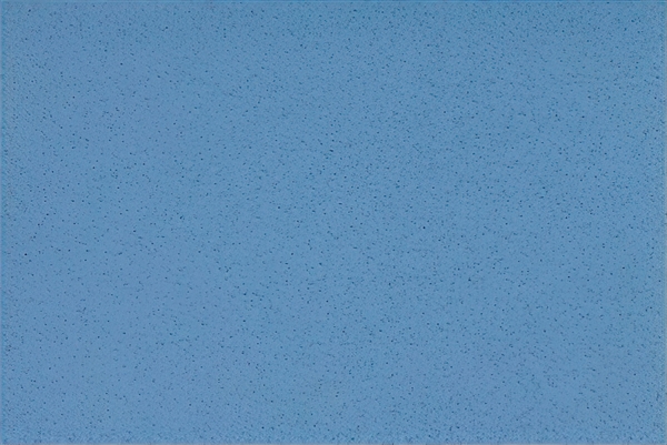 Altro Aquarius Dragonfly