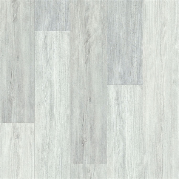 Living Collection Himalayan Birch